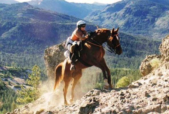 Adventure Riding Horse Camps and Lessons