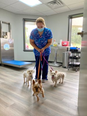 Three peas in a pod and Brandie. Loving our new larger exam rooms.