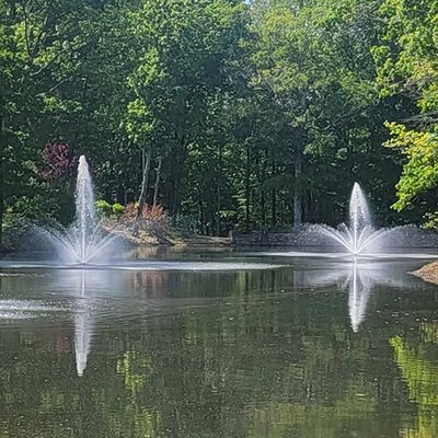 Multiple Pond Fountains in a pond