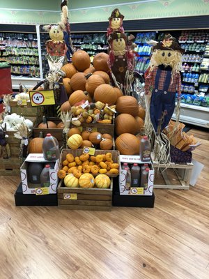 Winn Dixie is ready for Fall!