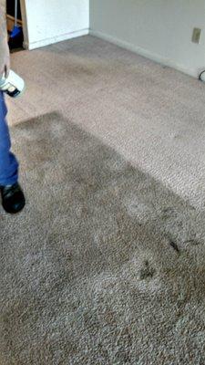 Before and After Photos of an actual client's carpet.