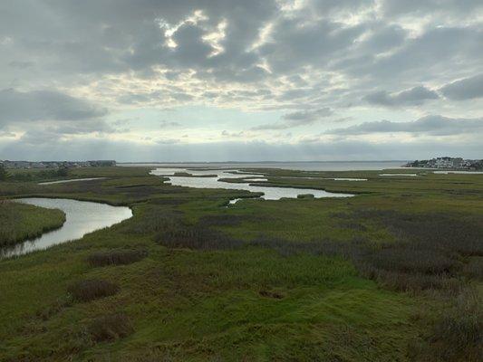 Gorgeous Assawoman Bay