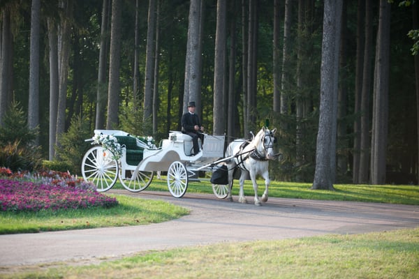 White wedding Coach~Top Down