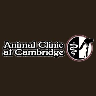 Animal Clinic