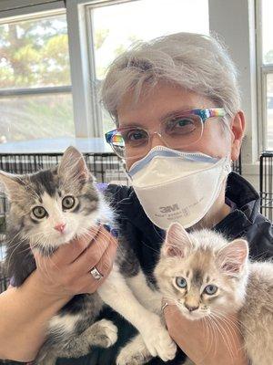 Meet Neelix and Kobayashi Maru!   You can see their beautiful fur and healthy eyes.  They are about 12 weeks old in this photo.