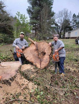 Tree Techs of Rock Hill