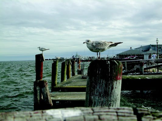 Old Saybrook, CT