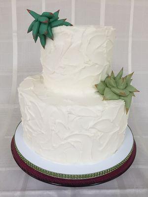 Succulent Cake