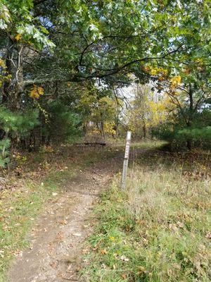 Trail skirts two meadows before plunging into the wood.