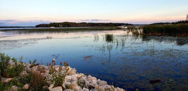 Cattails Cove