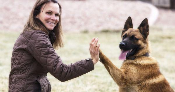 Canine Training Academy