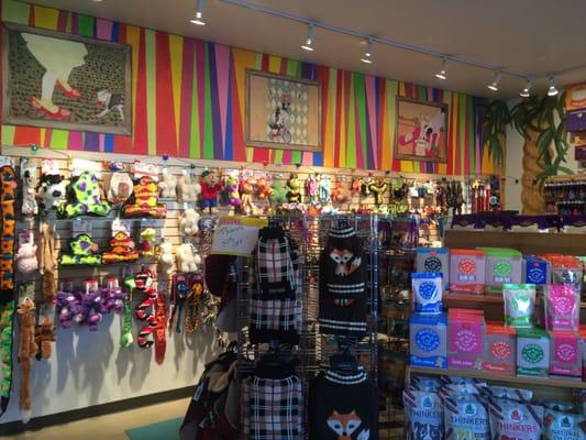 Our plush wall and treats corner with our awesomely colorful doggy murals in the background.