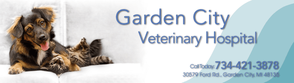 Garden City Veterinary Hospital