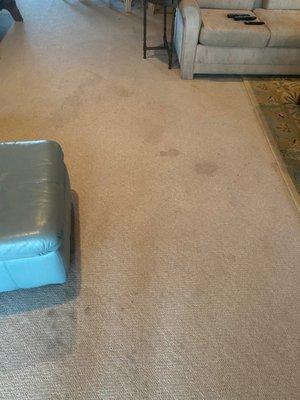 dirty carpet