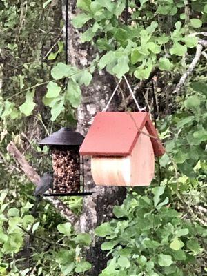 Wren house and hot pepper bird seed,