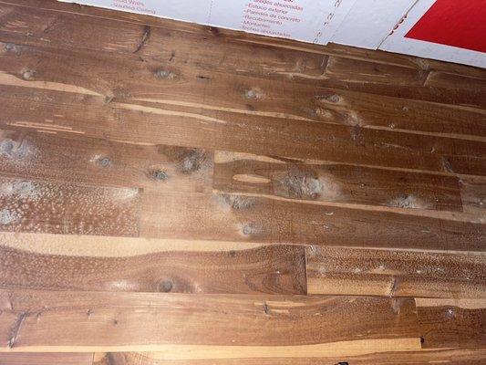 Mold in another closet