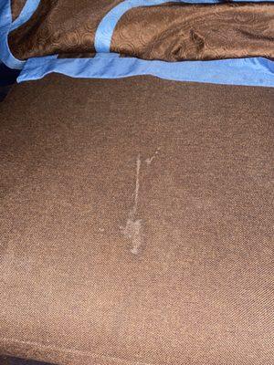 A literal semen stain on the couch. So disgusting. Words cannot describe.