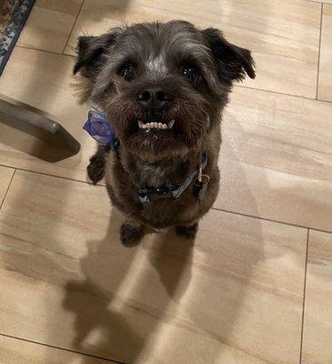 Winnie's biggest smile because of his fresh cut