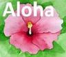 Photo of aloha-ellen m.