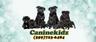 Photo of Caninekidz ..