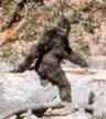 Photo of Bigfoot J.