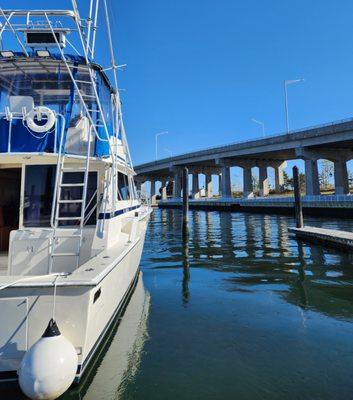 Canyon Eagle 1 Fishing Charter in Belmar NJ