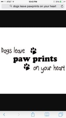 Paw Prints Dog Grooming