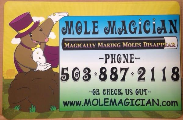 Mole Magician