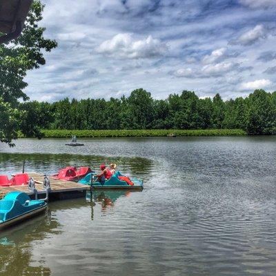 Lake Michael - Mebane NC