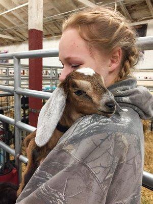 So many cute baby animals at the Spring Fair! The handlers are often very kind and happy to share about the animals with you.