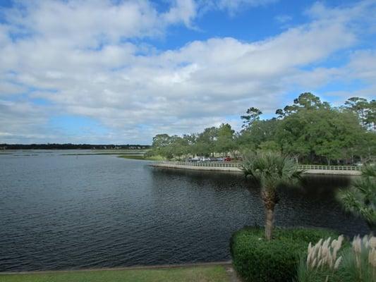 The view from our window of our Shelter Cove location on HHI.