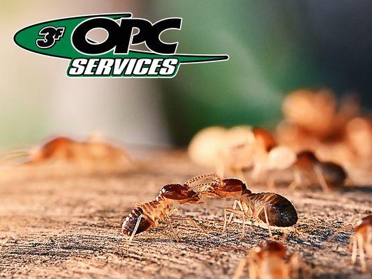 Ohio Pest Control