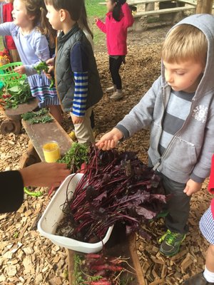 Farm Market produce