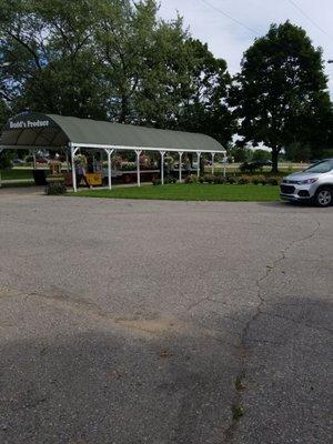 Budd's Produce Stand