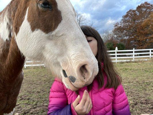 Sweetest horse