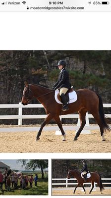 Meadow Ridge Stables