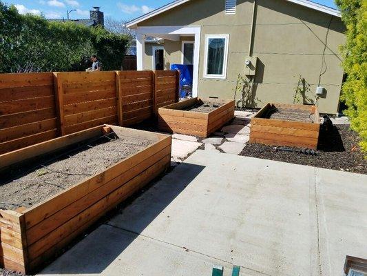 Redwood garden beds