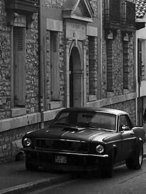 Shelby
 tribute
 mustang
 ford
 1967
 Eleanor
 302