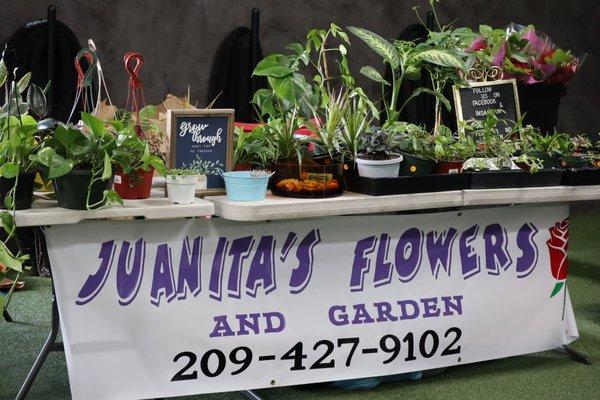 Juanita's Flowers and Garden