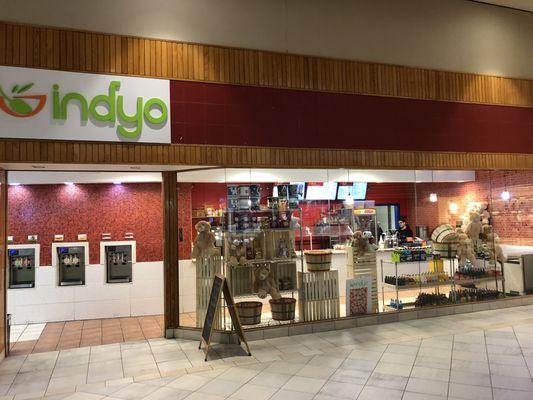 Indyo Frozen Yogurt Treats and Sweets