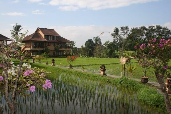 Bali rice field and hotel