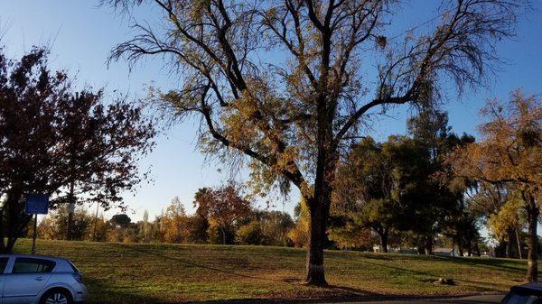 American Legion Park