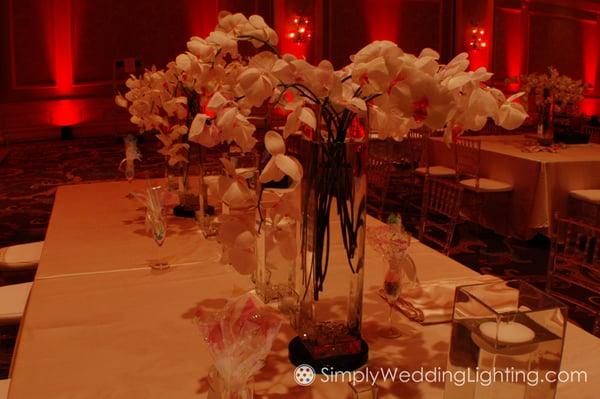 Wedding Up Lighting Orlando