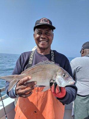 Giant porgy