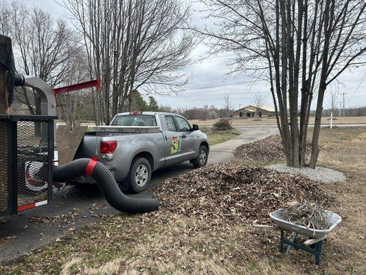 Leaf removal