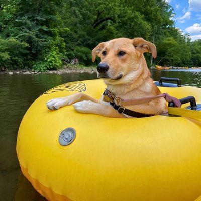 Tour San Marcos River Tubing