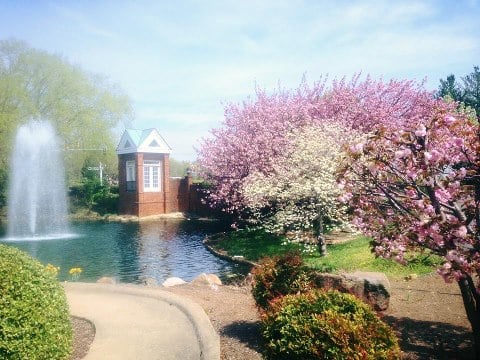 Stafford Office Fountain