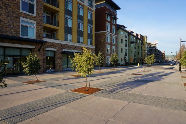 Color concrete and paver walkways