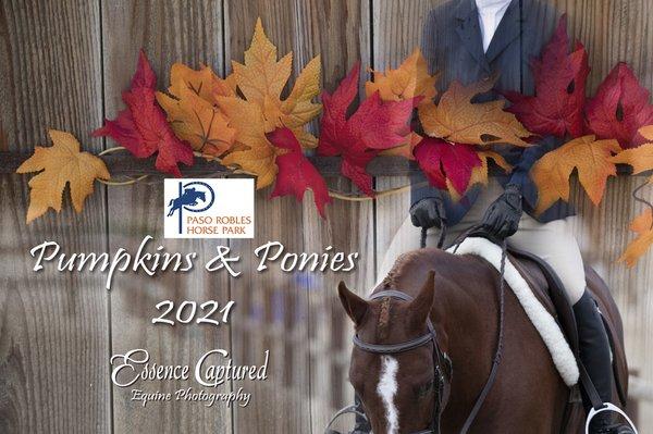 Hunter/Jumper Horse Show Photography