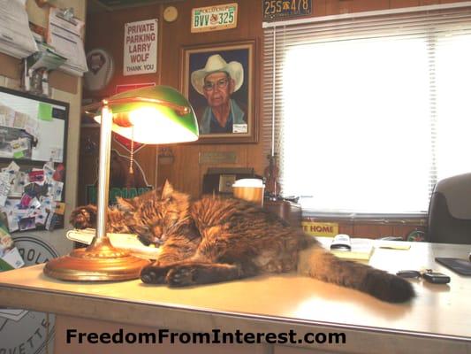 Tribute to office cat Simon and founder Larry Wolf